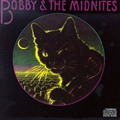 Bob Weir, Bobby and the Midnites